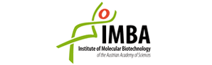IMBA - Institut für Molekulare Biotechnologie GmbH