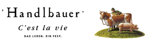 Handlbauer Herbert GmbH