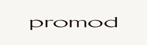PROMOD AUSTRIA GMBH