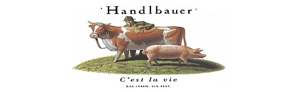 Ameco HandelsgesmbH