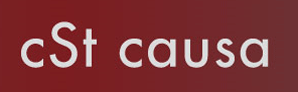 cSt causa Steuerberatungs GmbH