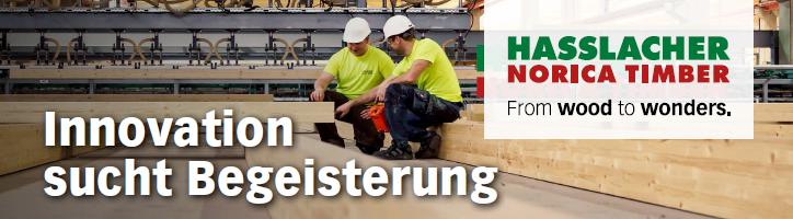 HASSLACHER Holding GmbH